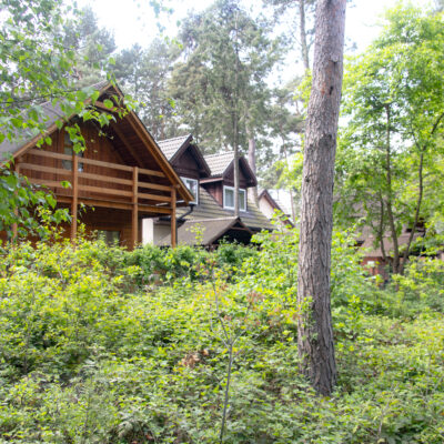 Kliknij, aby powiększyć